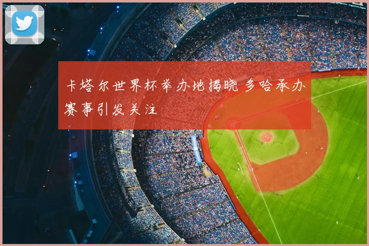 卡塔尔世界杯举办地揭晓 多哈承办赛事引发关注